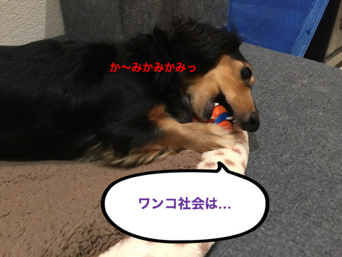 BlogPaint