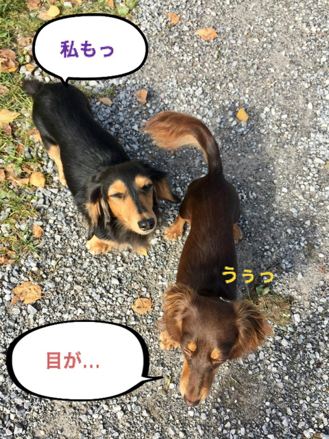 BlogPaint