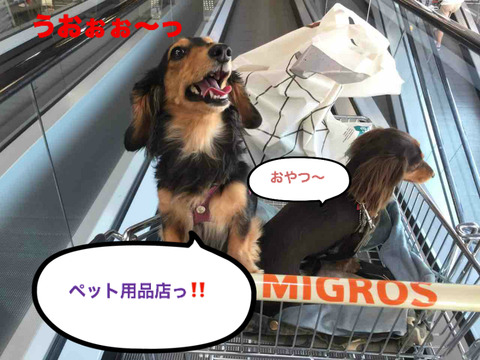 BlogPaint