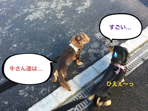 BlogPaint