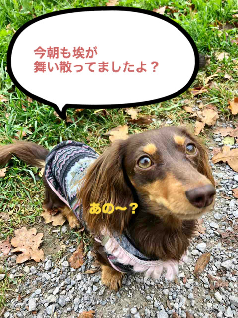 BlogPaint