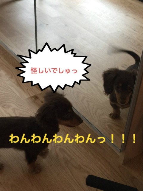 BlogPaint