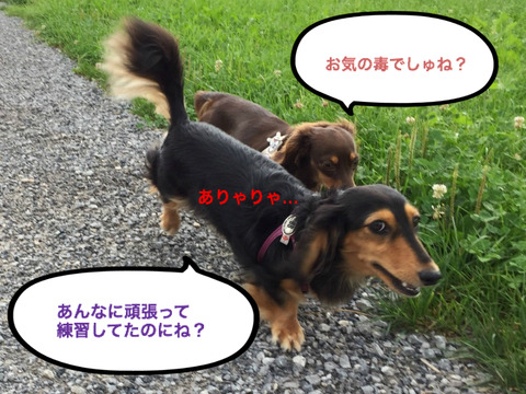BlogPaint