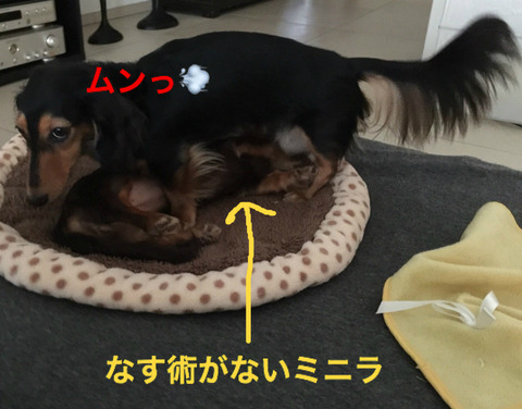 BlogPaint