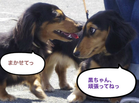 BlogPaint