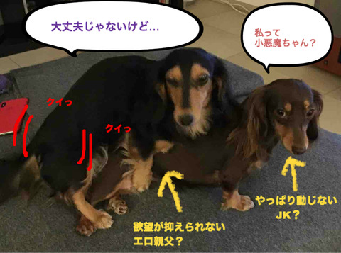 BlogPaint
