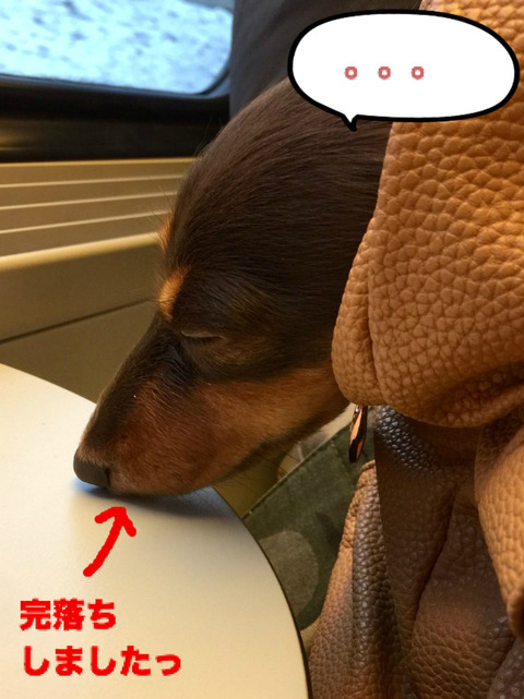BlogPaint