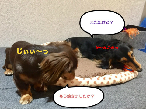BlogPaint