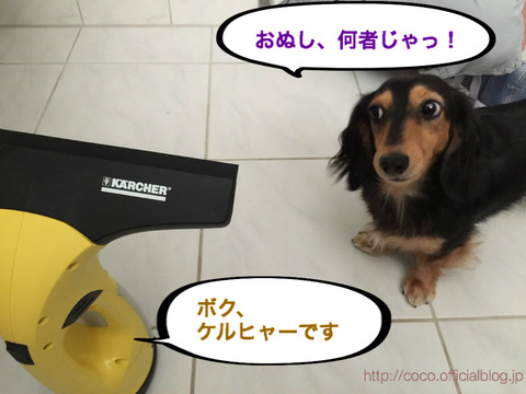 BlogPaint