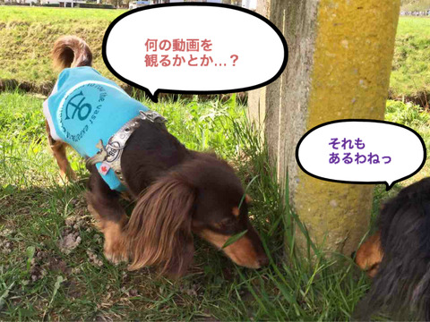 BlogPaint