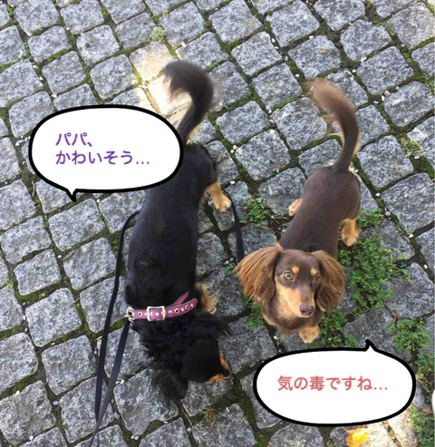 BlogPaint