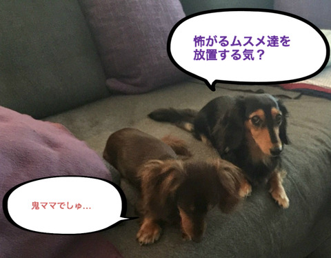 BlogPaint