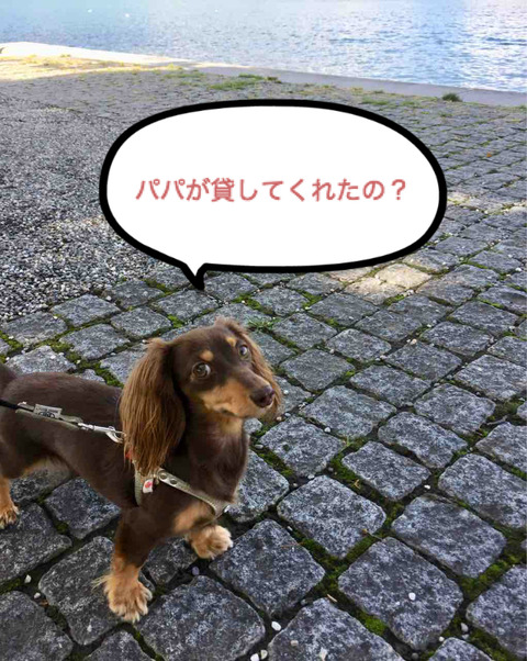 BlogPaint