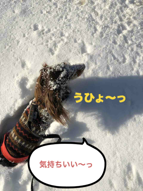 BlogPaint