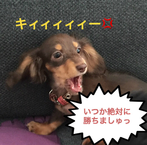 BlogPaint