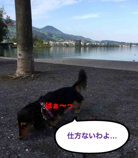 BlogPaint
