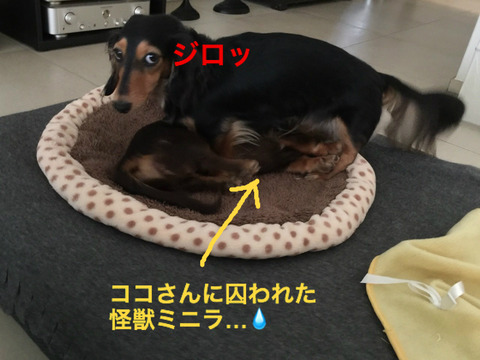 BlogPaint