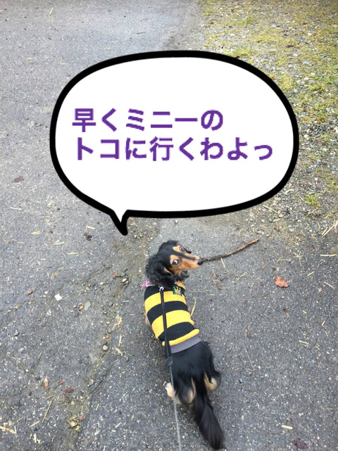BlogPaint