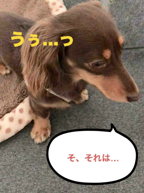 BlogPaint