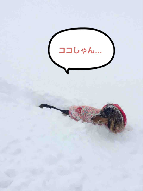 BlogPaint