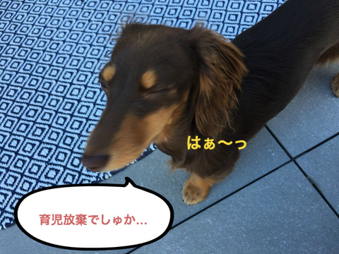 BlogPaint