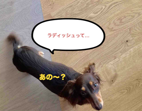 BlogPaint