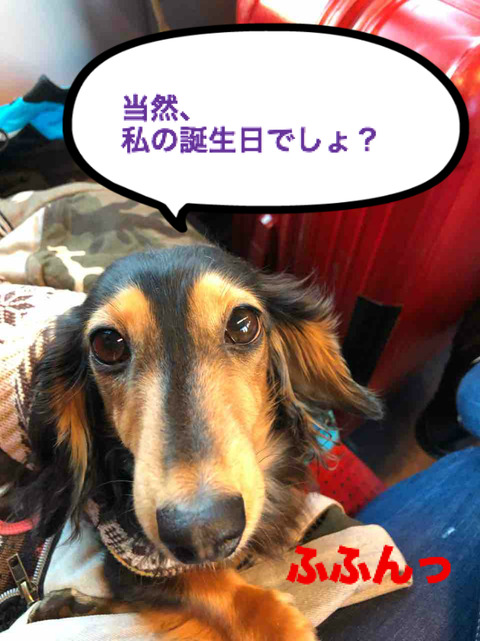 BlogPaint