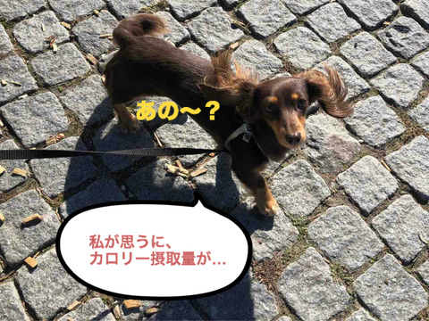 BlogPaint