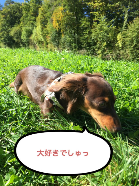 BlogPaint
