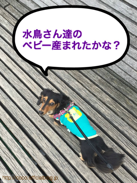 BlogPaint
