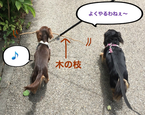 BlogPaint