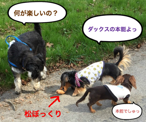 BlogPaint