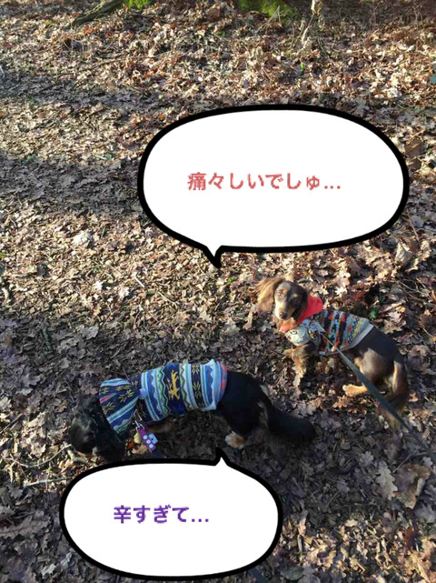 BlogPaint