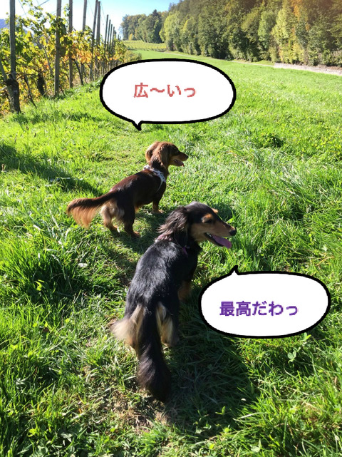 BlogPaint