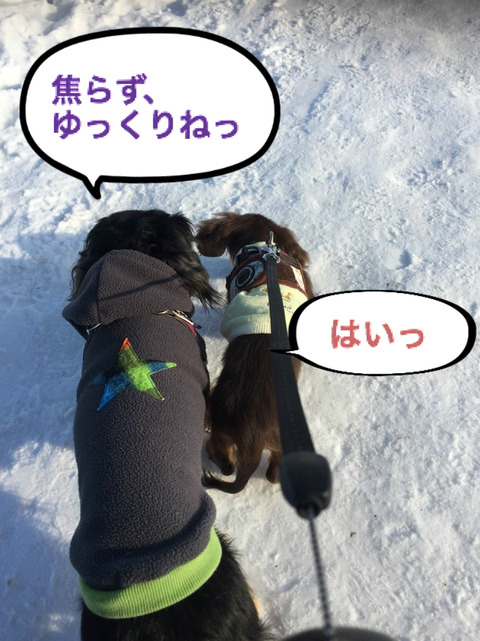 BlogPaint