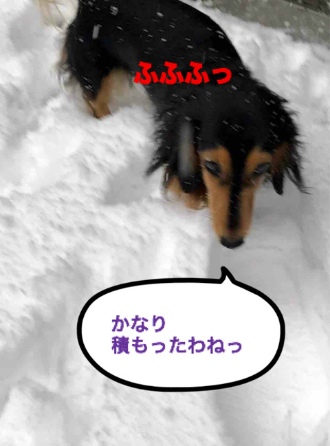 BlogPaint