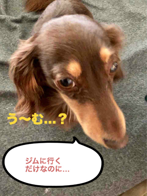 BlogPaint
