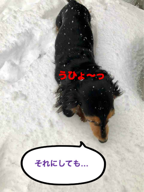 BlogPaint