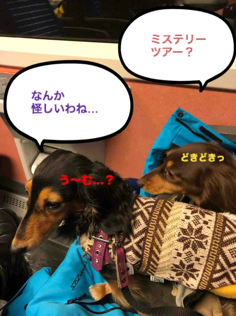 BlogPaint