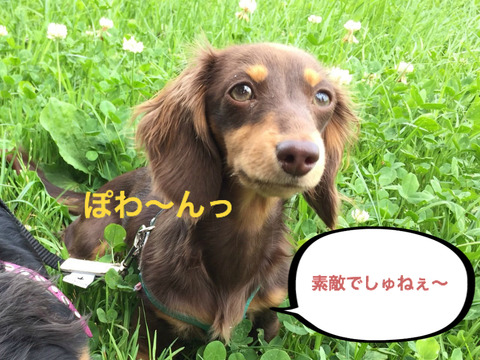 BlogPaint
