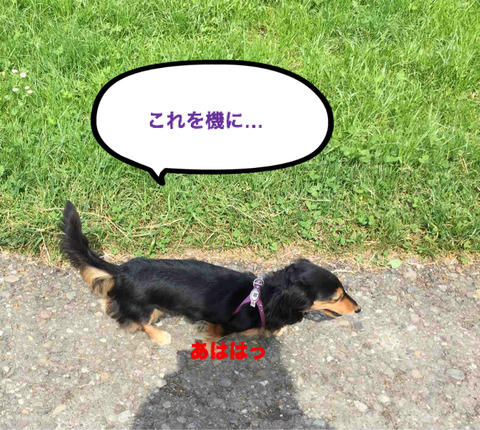 BlogPaint