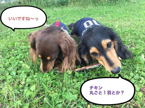 BlogPaint
