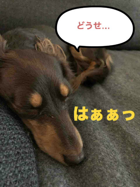 BlogPaint