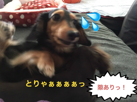 BlogPaint