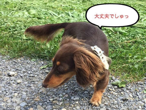 BlogPaint