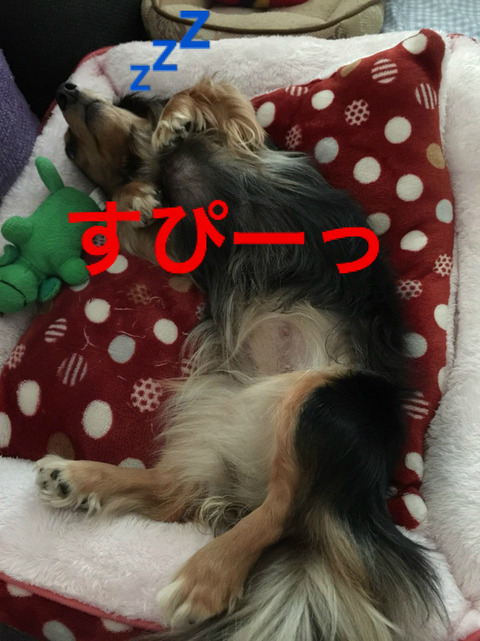 BlogPaint