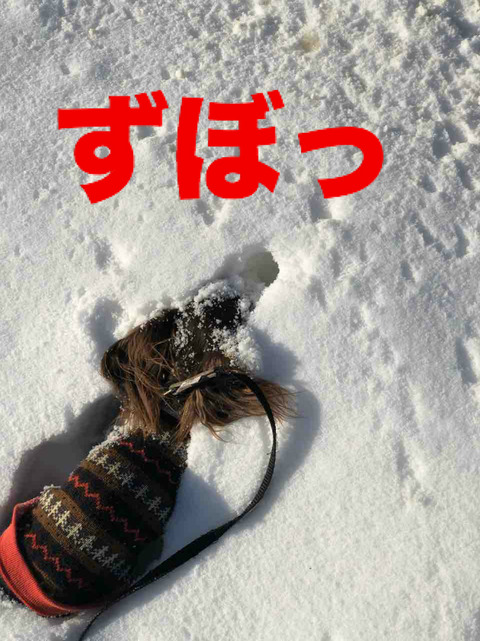BlogPaint