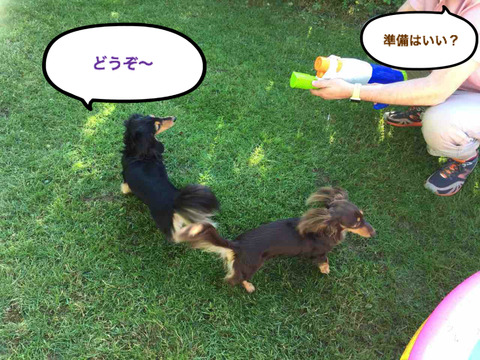 BlogPaint
