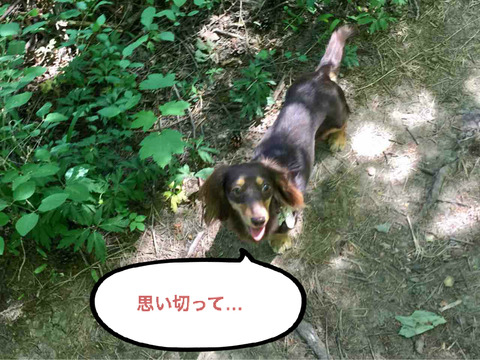 BlogPaint
