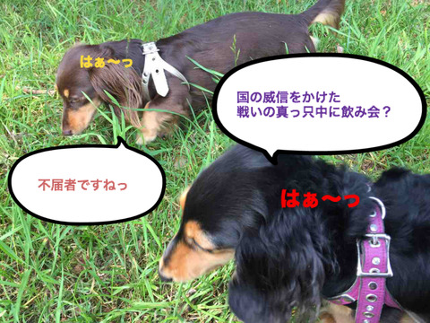 BlogPaint